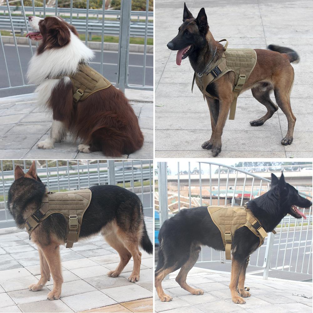 svPro™ Tactical Dog Molle Harness - SkullVibe