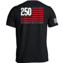 America 250 Years Anniversary Flag