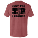 Just The Tip I Promise Flag