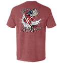 Stars Stripes and Strikes