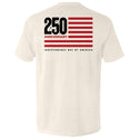 America 250 Years Anniversary Flag