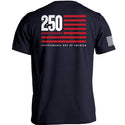 America 250 Years Anniversary Flag