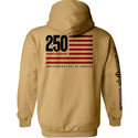 America 250 Years Anniversary Flag