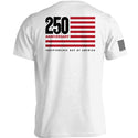 America 250 Years Anniversary Flag