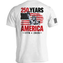 250 Years Statue of Liberty