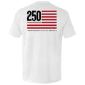 America 250 Years Anniversary Flag