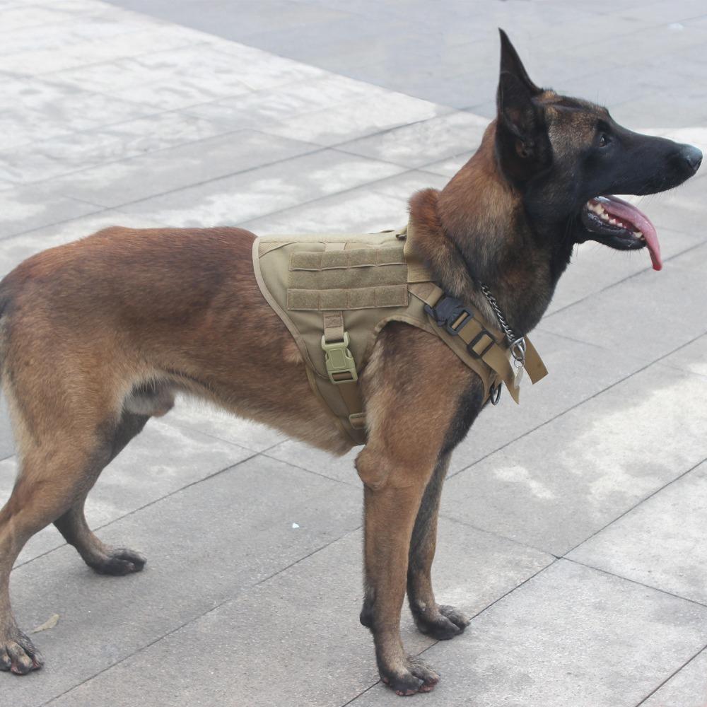 svPro™ Tactical Dog Molle Harness - SkullVibe