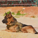 svPro™ Tactical Dog Molle Harness - SkullVibe